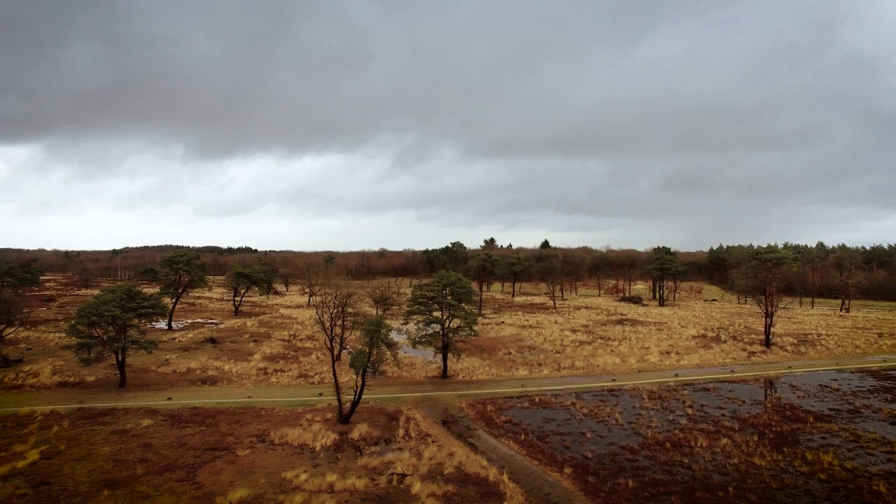 DJI Phantom3 4K - First flight