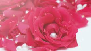 Download Lagu JS Bobo - Sarnai tsetseg MP3