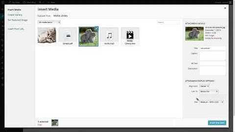 WordPress Video Walk-Through Series: Add image from media library