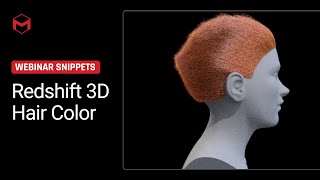 Redshift 3D Hair Color