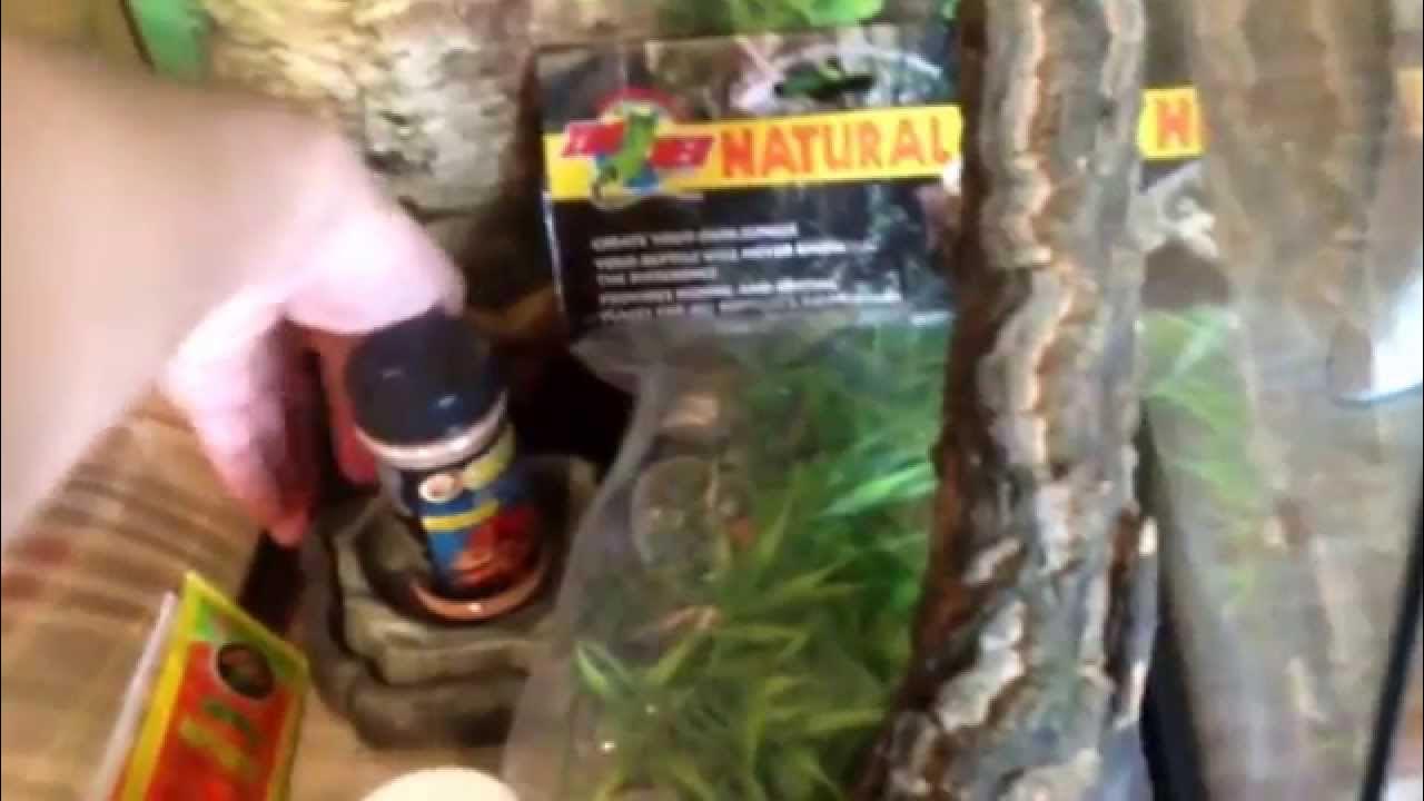 Petco reptile rally pickups!! YouTube