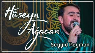 Seyyid Peyman - Hüseyn ağacan Resimi