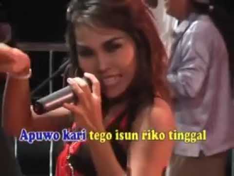 andera dangdut Banyuwangi Dinda Firnanda