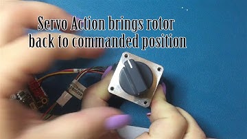 AllMotion Stepper Servo