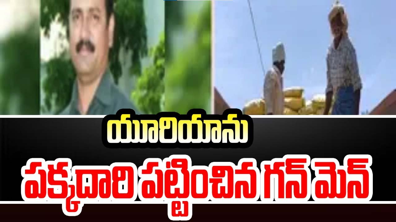 యూరియాను పక్కదారి పట్టించిన గన్ మెన్ | gunmen divert  urea in miryalaguda | TV5 News