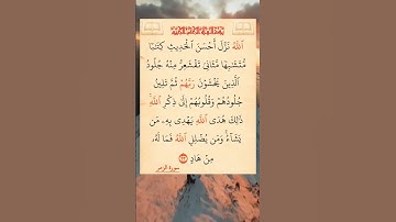 القرآن الكريم سورة الزمر صلاح بو خاطر #القرآن_الكريم #راحة_نفسية #اطمئن