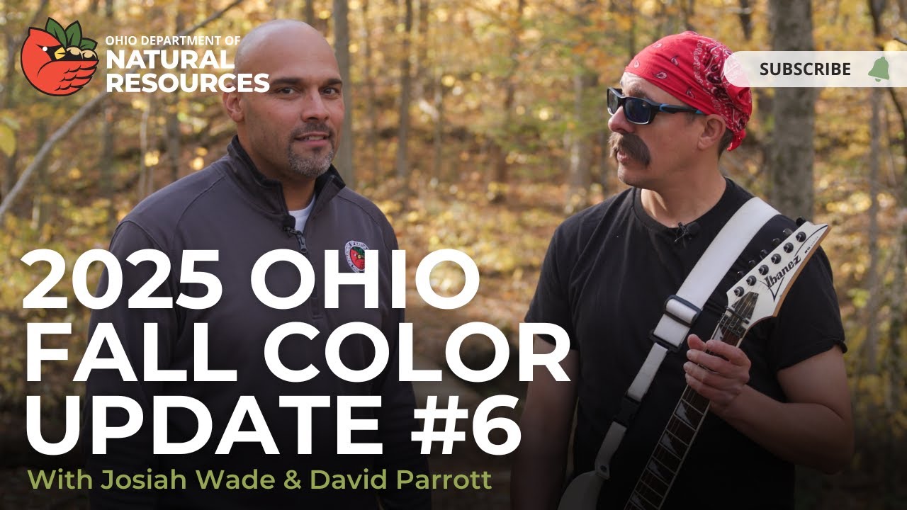 Обновление цветов осени 2025 года 6