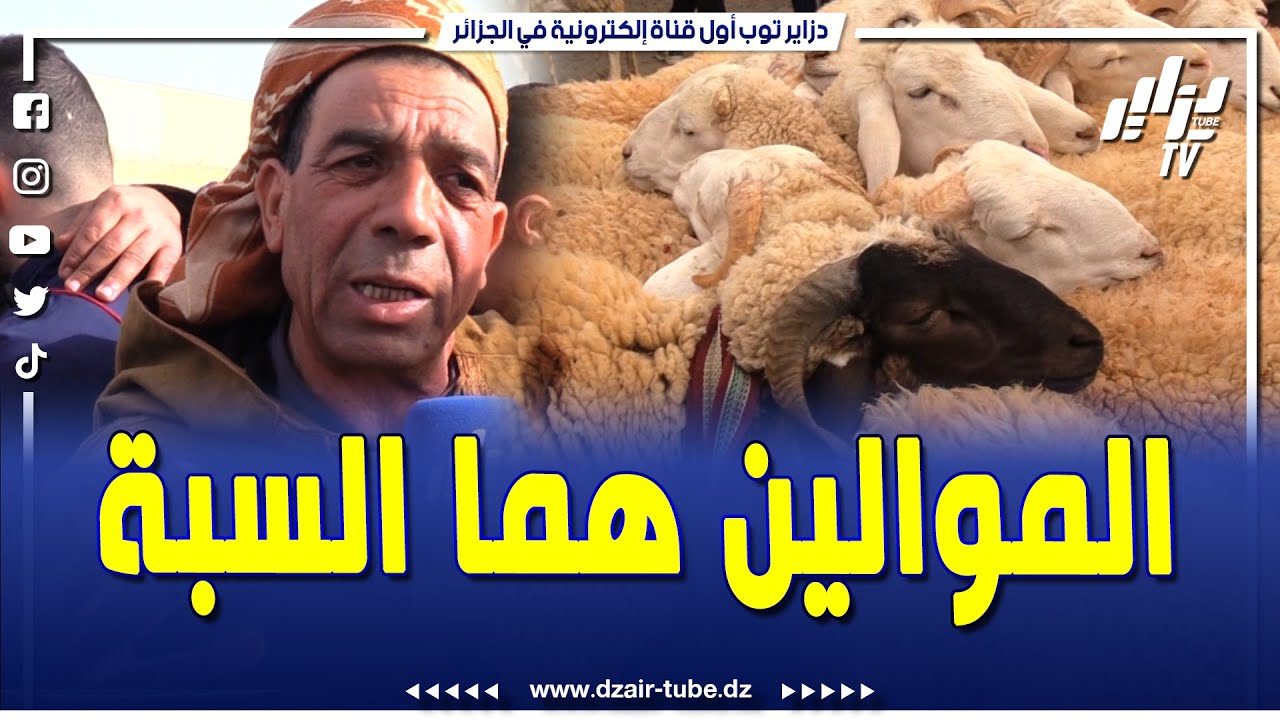 سوق المواشي بالأربعاء..شوف هذا النقاش الحاد على المباشر بين الموالين...الشعب هو لي راه يطلع في المال