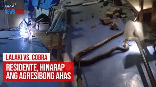 Lalaki vs. Cobra. Residente, hinarap ang agresibong ahas | GMA Integrated Newsfeed