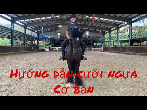 Video: Cách Học Cưỡi Ngựa