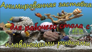 Анимированная заставка рабочего стола с плавающими рыбками(Screensaver) Анимированная заставка рабочего стола с плавающими рыбками(Screensaver)
