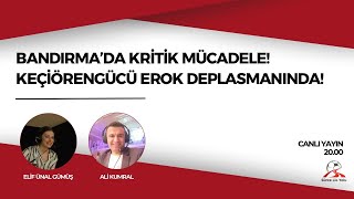 TRENDYOL 1. LİG 36. HAFTA ÖN DEĞERLENDİRMESİ