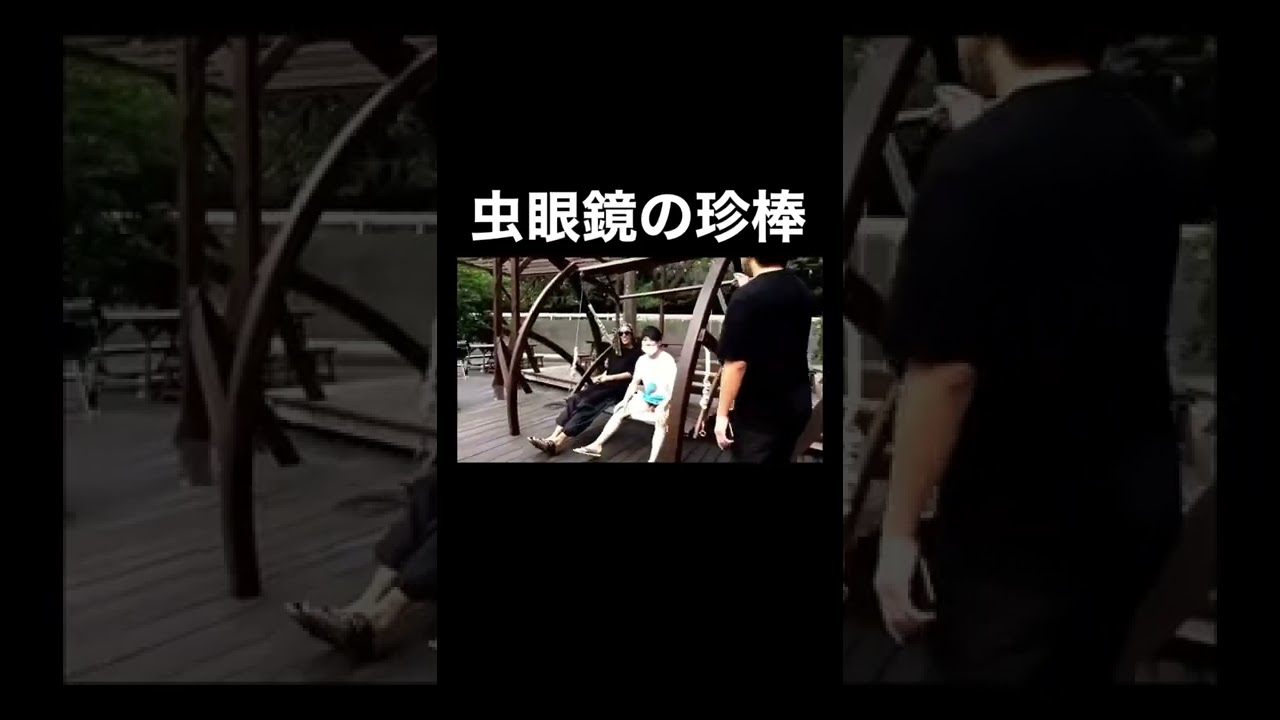虫眼鏡 珍 棒