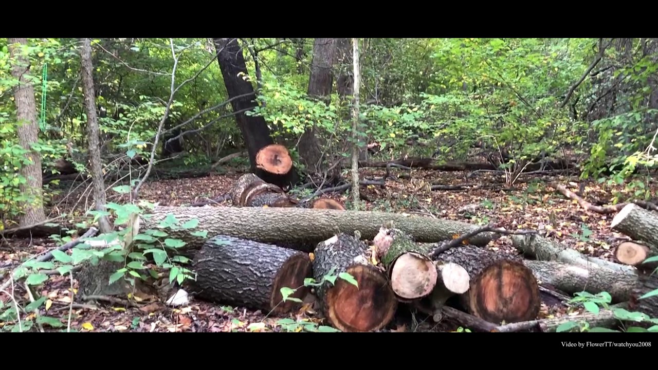 Croton point, 1924 – croton Croton Point Park, NY - YouTube