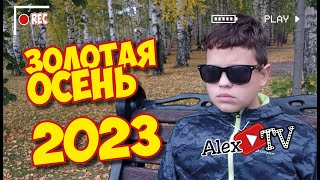 ЗОЛОТАЯ ОСЕНЬ 2023
