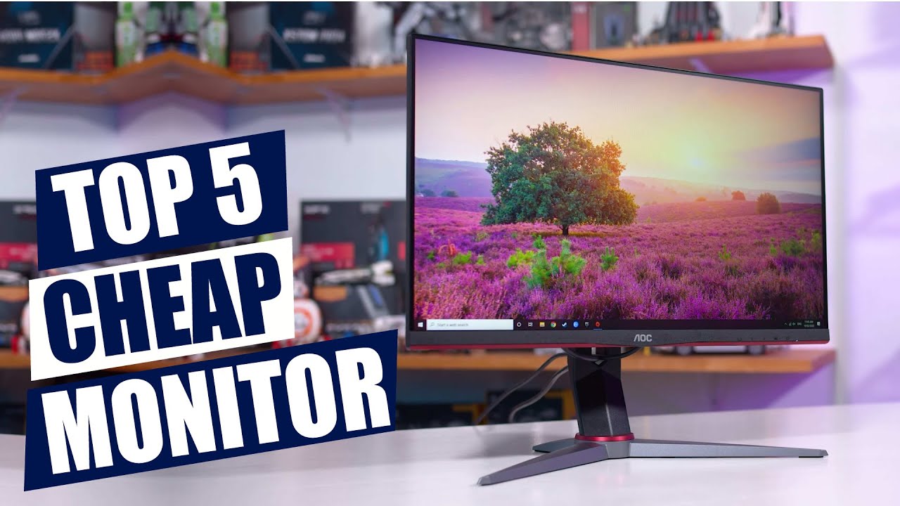 Slay the Budget Beast: Top-Ranked, Cheap Monitors That Won't Break the ...