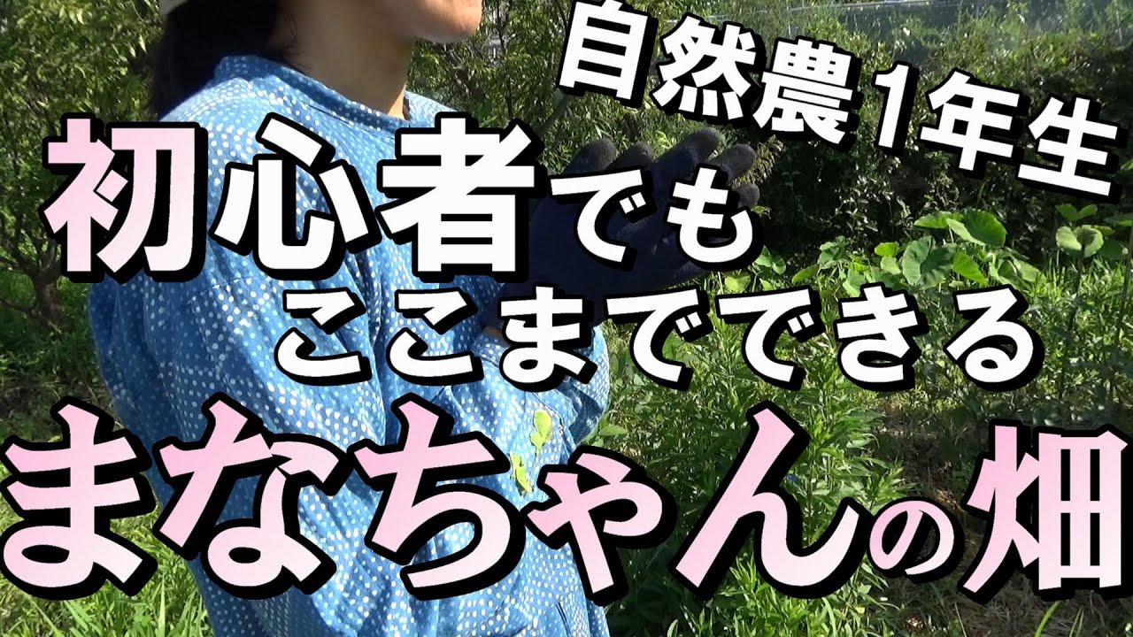 【自然農】初心者でもここまでできる　自然農一年生「まなちゃんの畑」驚きです！