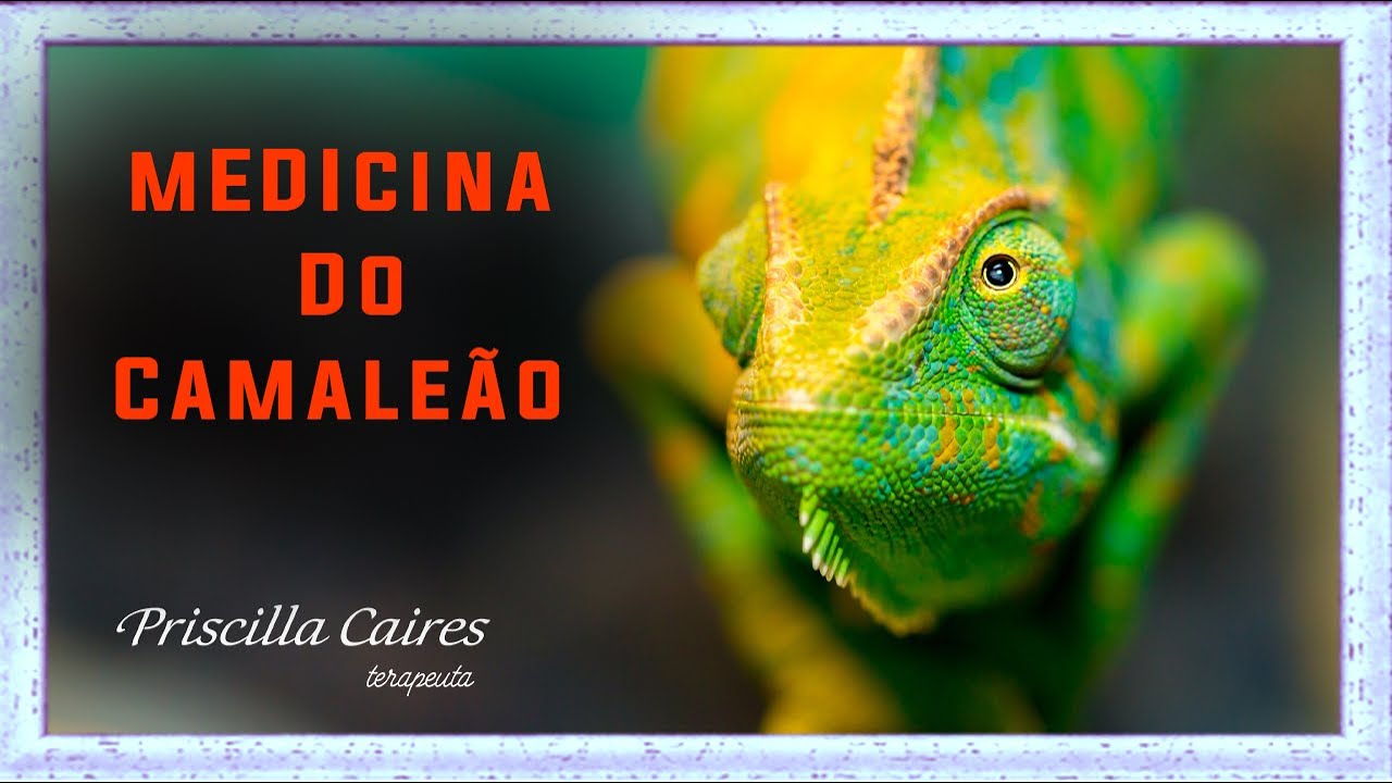 Resultado de imagem para camaleão animal de poder