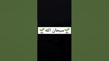 #ياسر_الدوسري | سورة النساء #Yasser_Aldosari | Sure An-Nisa #quran #القرآن_الكريم