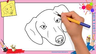 Comment Dessiner Un Chien Face Facilement Etape Par Etape