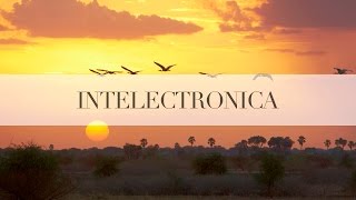 Purl Sinius We Dont Belong Here Original Mix