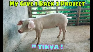 Isa sa Aking proyekto na Back 2 sa Sitio Ugatan ! Malaki na yan ! #sharingiscaring #provincelife