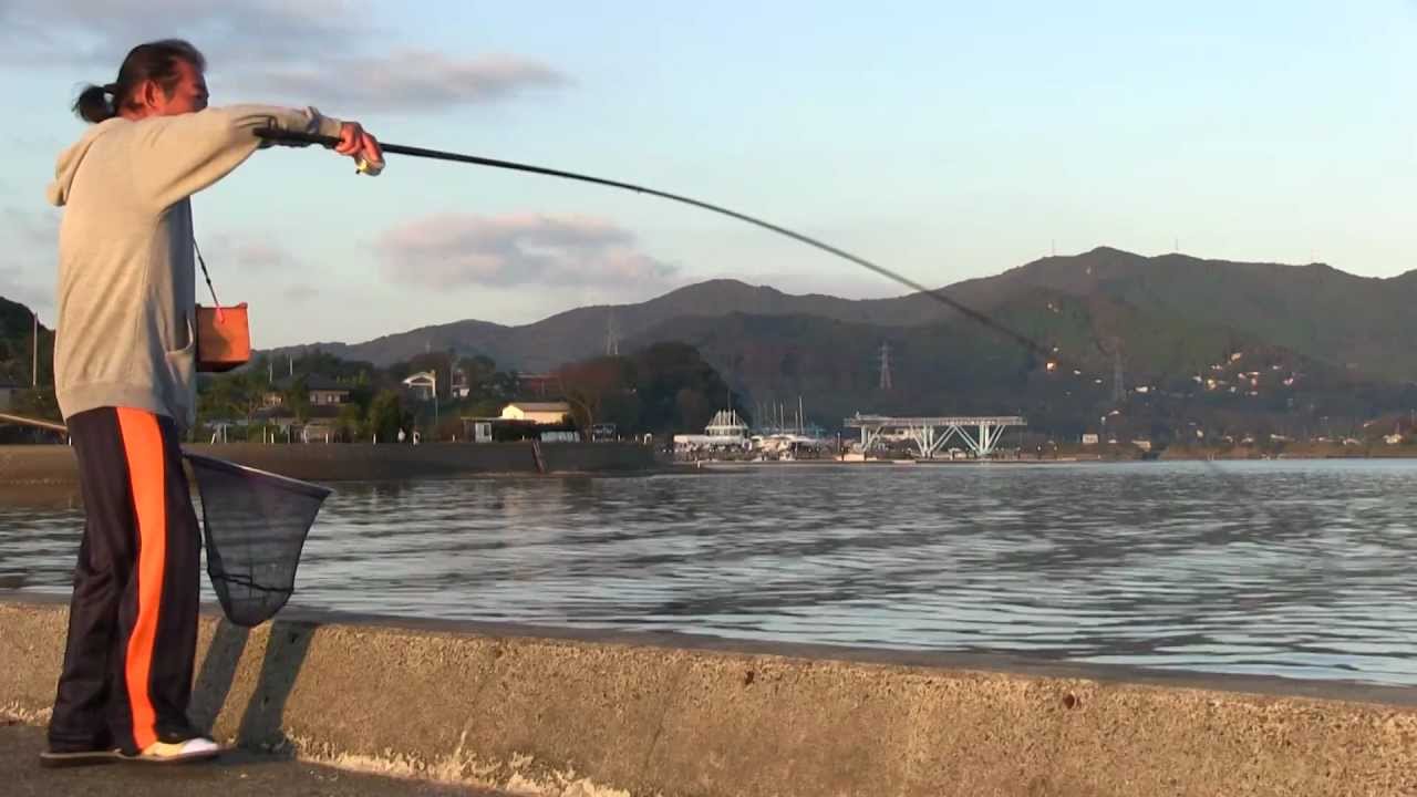 シリーズ浜名湖16 奥浜名湖のクロダイ釣り２ Youtube