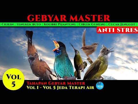 MATERI EDAN !!! ROLINGAN \u0026  TEMBAKAN KASAR !! KENARI - CILILIN - CIGUN DURASI 1 jam nonstop + jeda