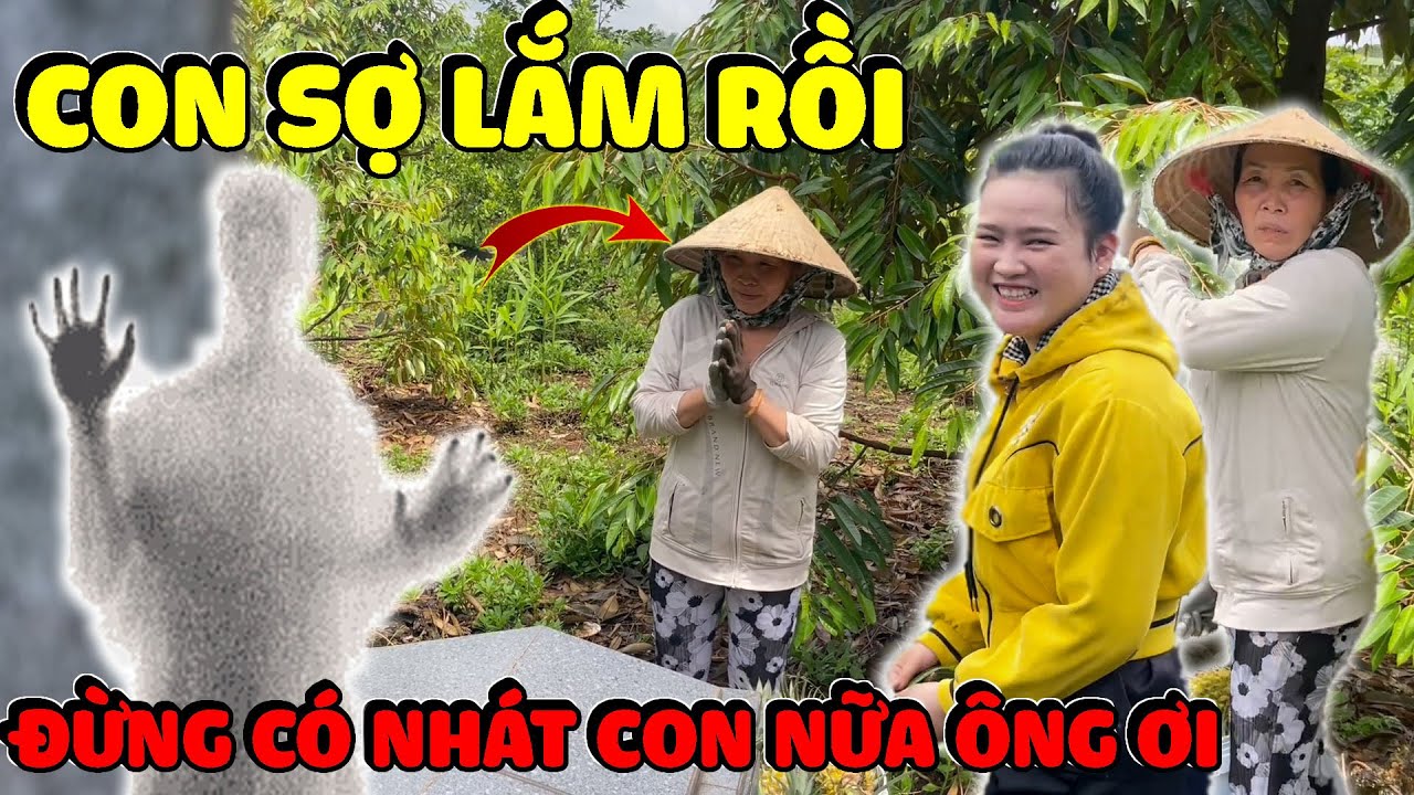 Mới Sáng Sớm Mà Đã Gặp Ma Dì Hương Tái Mặt Cầu Cứu Tía Phi Hùng | Hải Ka Vlogs