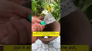 How to prevent your plants from waterlogging and rotting Just need a water bottle