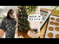 WEEK VLOG: decorating the tree, baking cookies, + giving Sammy a bath