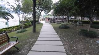 Shanghai - Flute player in park.MOV