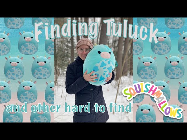Finding TULUCK! How to find RARE SQUISH!