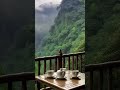 #nature #rainyday