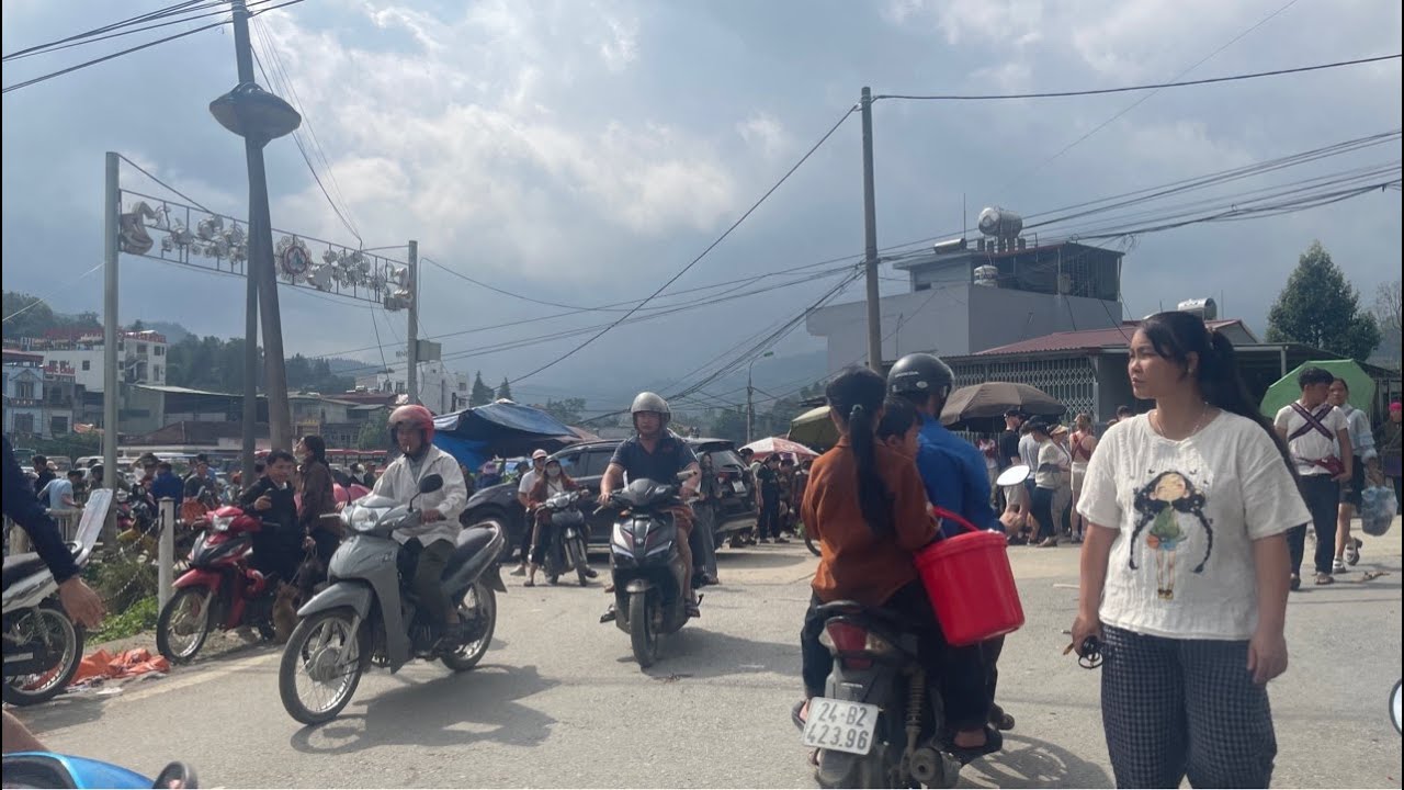 七七正在買狗地方直播