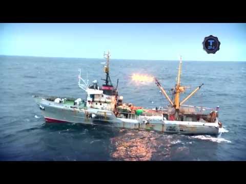 «Жить морем»: Рыбалка в Охотском море. Конвейер