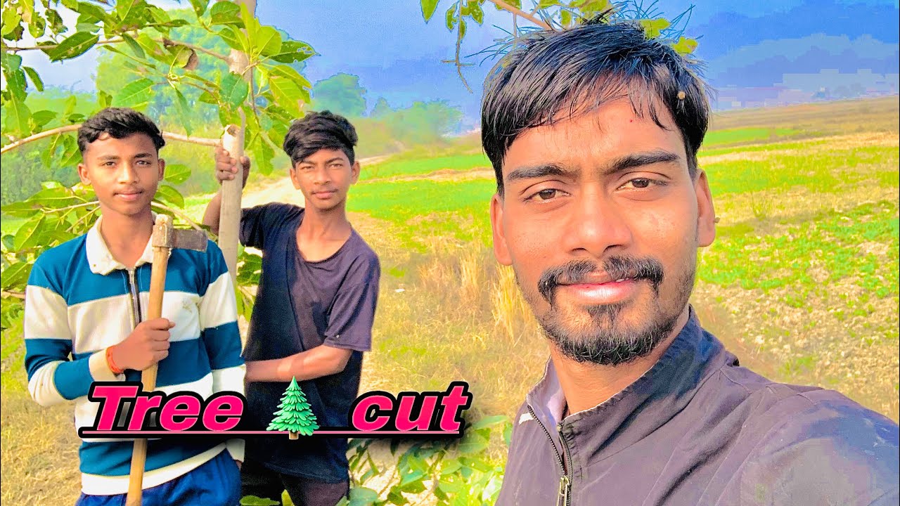 पीपल का पत्ता बकरीं को खाने के लिये !! 