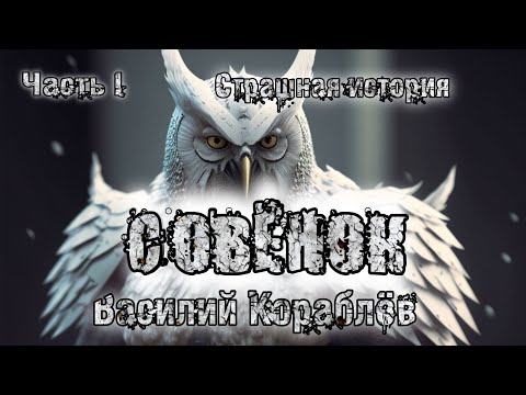 Истории на ночь. СОВЁНОК. Часть 1. Василий Кораблёв