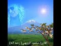 الشيخ محمود الرويهبي وماتيس من أخر التوبة 