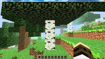 Minecraft 1.3.2 How To Install Modloader X-Ray Mod And Shelf Mod