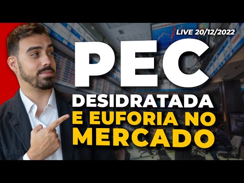 BOLSA SOBE 2% COM PEC DA TRANSIÇÃO DESIDRATADA | Varejo dispara (VIIA3, AMER3, MGLU3) | Dólar cai 2%