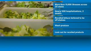 Lettuce linked to cyclospora outbreaks no longer on store shelves, FDA says