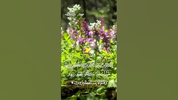 إنما يؤمن بآياتنا الذين إذا ذكروا بها خروا سجدا