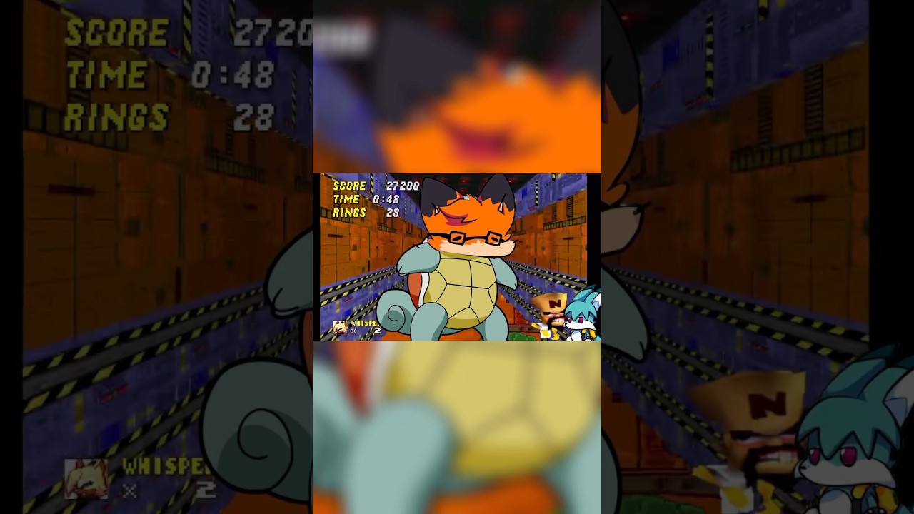 Sonic robo blast mods be on acid 