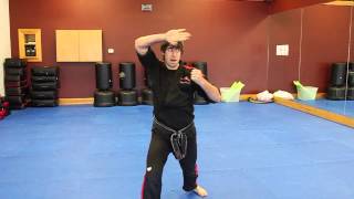 Open Hand Form Walkthrough Section 4