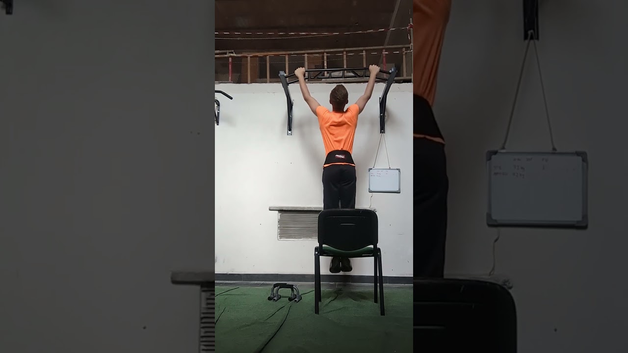 Franco Columbu style pullups 