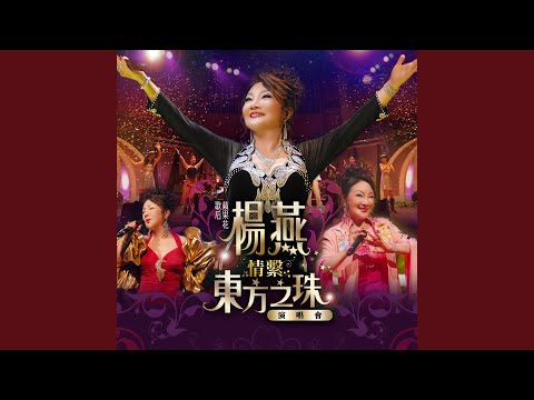 春風吻上我的臉 (Live)