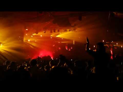 Panda dub live-