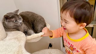 【LIVE】夜の大騒ぎ‼︎ 男子たち🐈‍⬛👶🏻のテンションについていけない姉猫