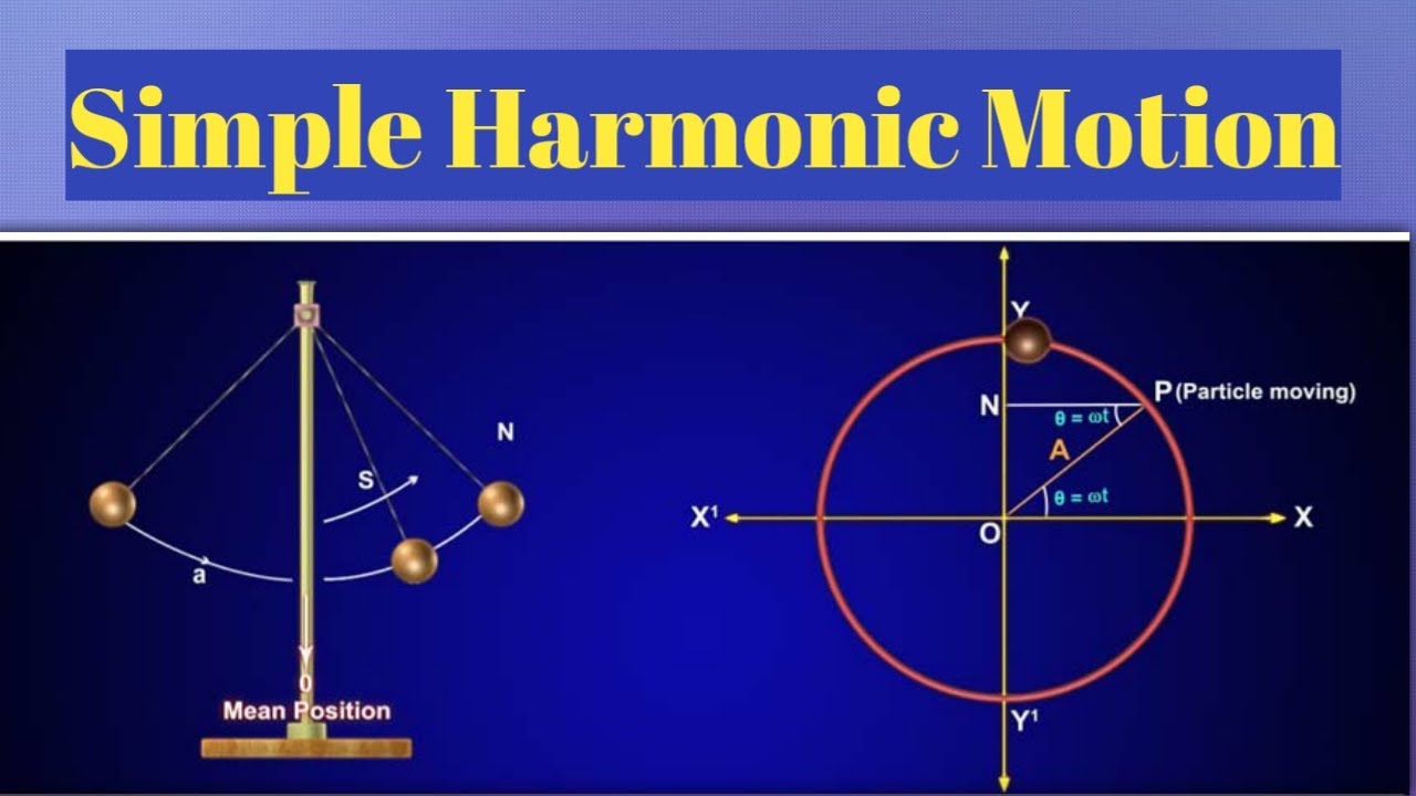 Simple Harmonic Motion in tamil YouTube